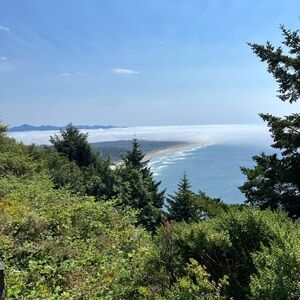 Meet your Posher, Ashlie